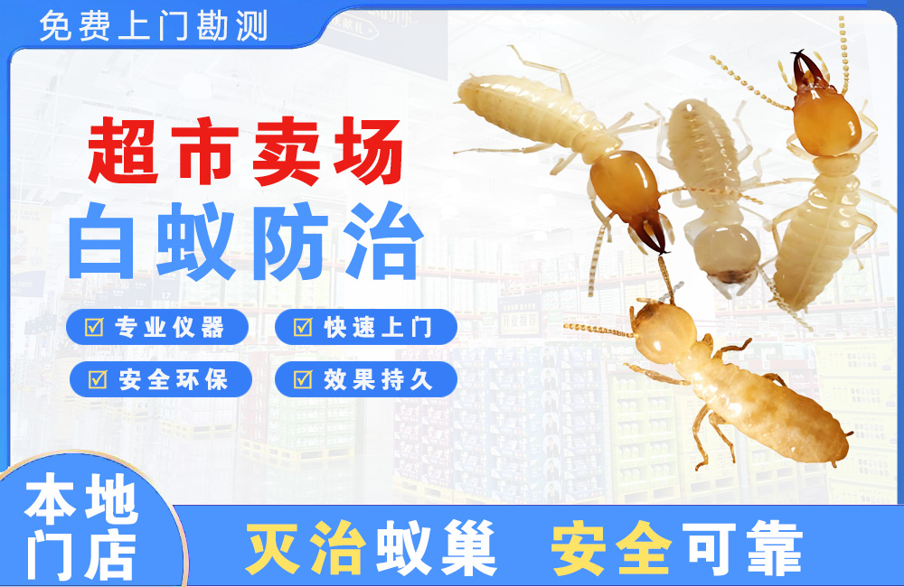 永安超市卖场白蚁防治
