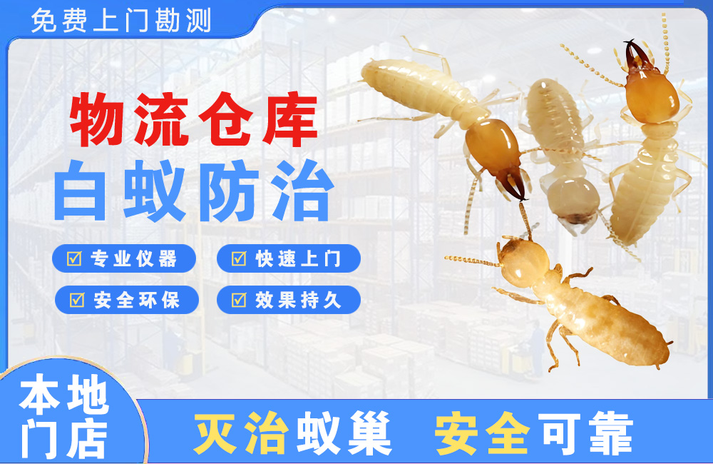 永安物流仓库白蚁防治