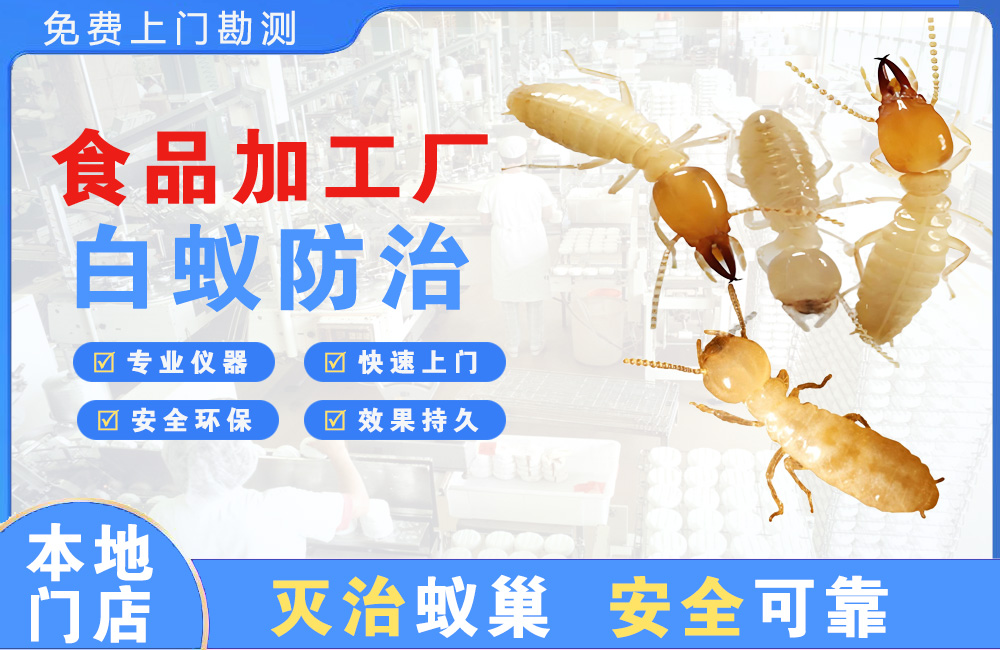 永安食品加工厂白蚁防治