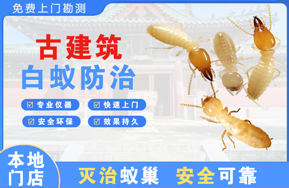 永安古建筑白蚁防治