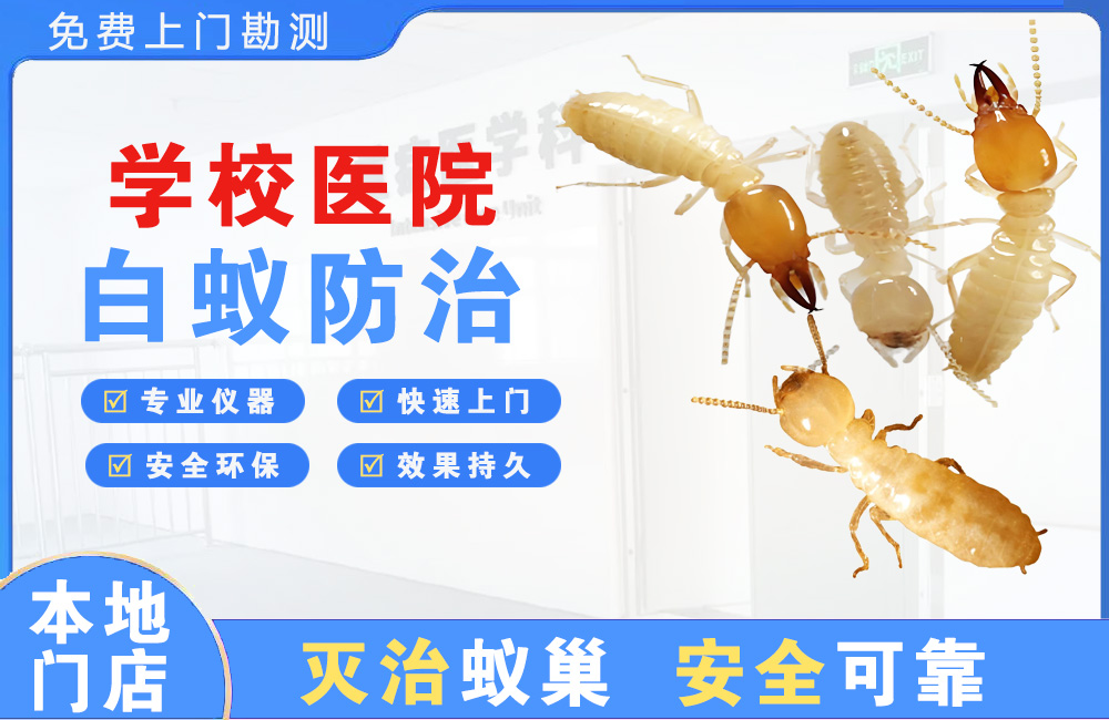 永安学校医院白蚁防治
