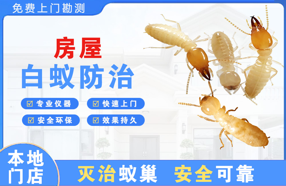 永安房屋白蚁防治